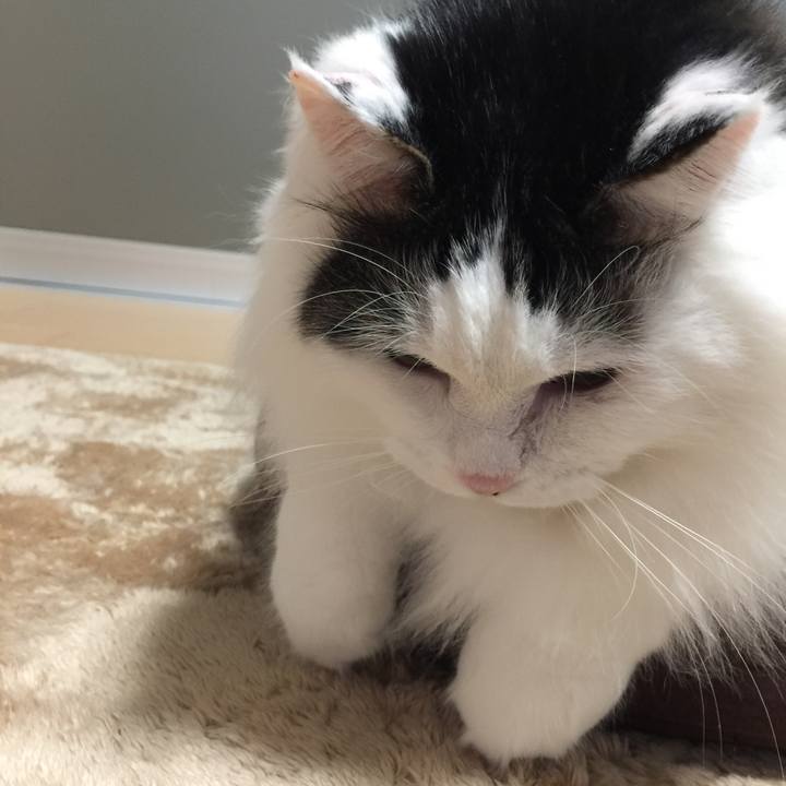 5e86f606 8add 4310 a097 47277401120d