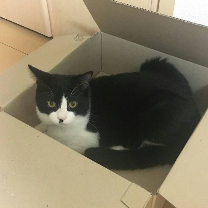 5e878468 e2ed 44fe 9ef8 be6de56e6518