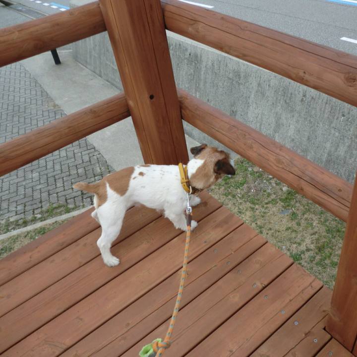 5e87f52d c195 444b 8464 9211f7e57060