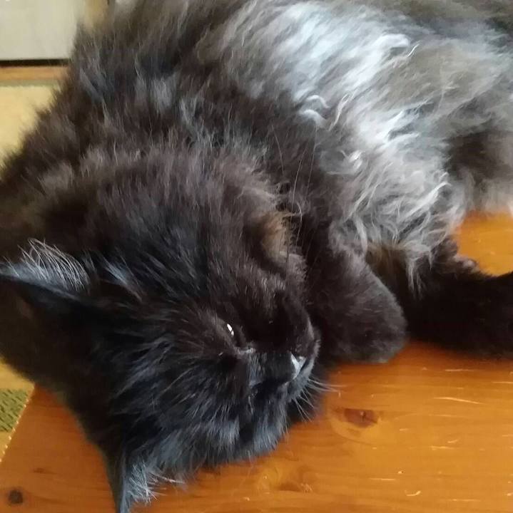 5e884fd2 d0e5 4efa 880e ea1d60caecc3