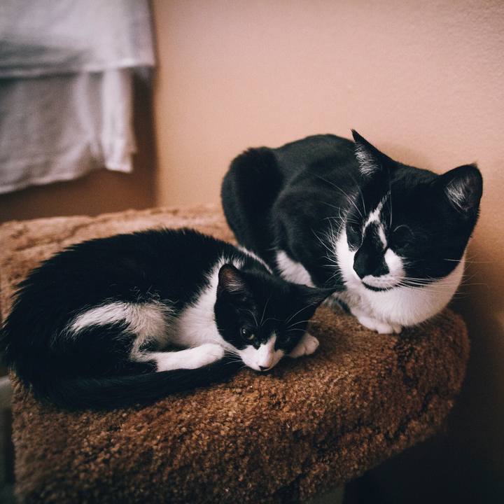 5e8889ca 0949 473d a3ec d6d7c152c88d