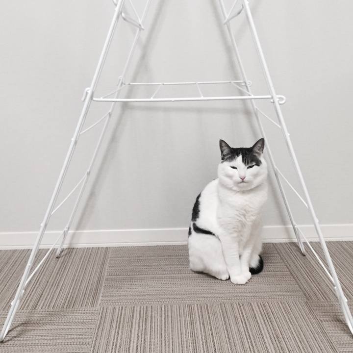 5e88a490 5462 4160 b2bc 2448472fe96a