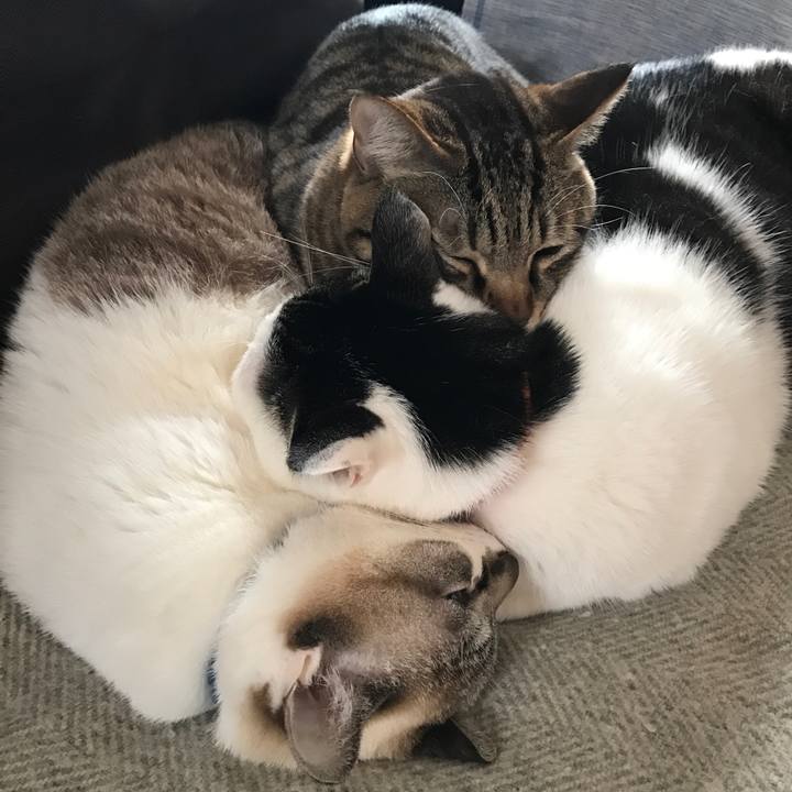 5e8a6d6c 18c0 4ffe aee9 5343cb36bac7