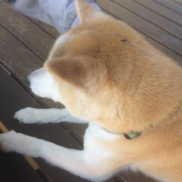 5e8ad32c 398c 45ec 9ed0 c87f0b17ed26