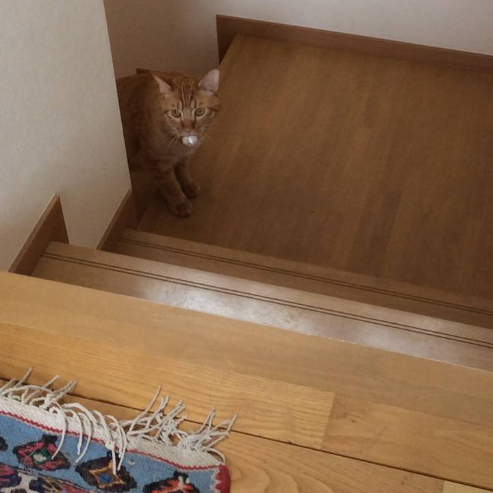 5e8c368f 0a0a 4ca4 92e1 1616d105362d