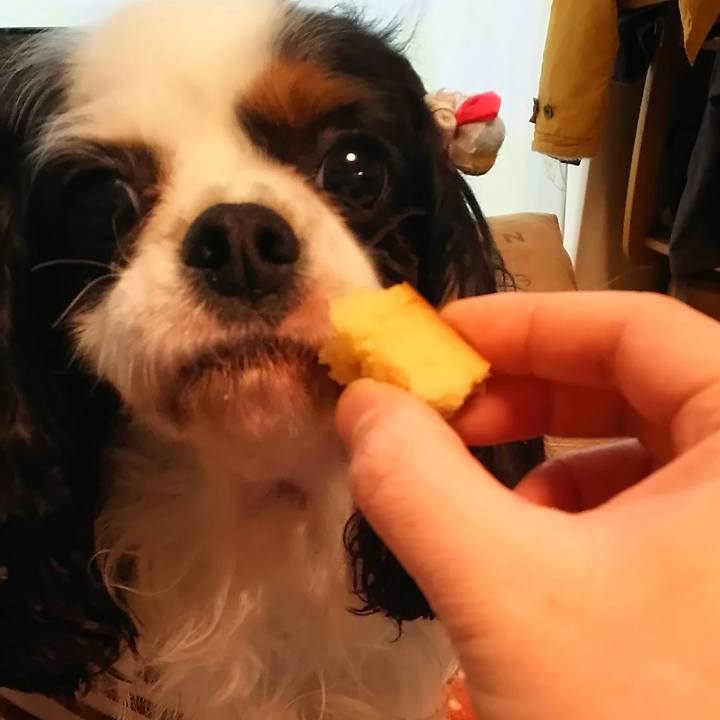 5e8c5a6a 329a 4e66 9686 9ec298865813