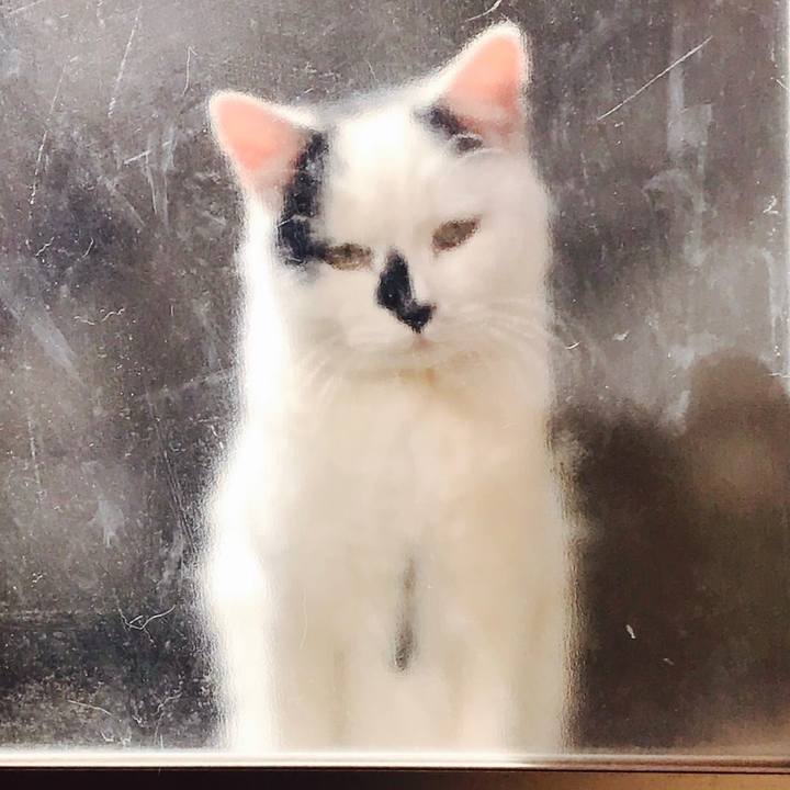 5e8c6649 7ef9 461f 971a 6797d4b93ce1