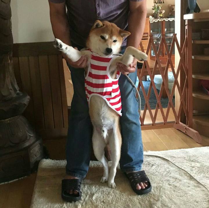 5e8cef96 ae0c 4100 8d7f 4a43cfb6e8e7