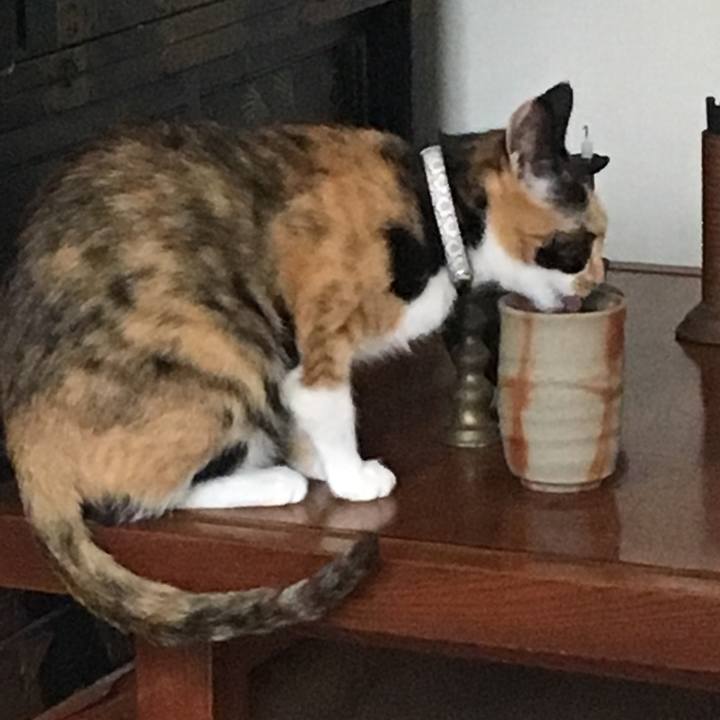 5e8d8a19 3bf9 49f9 a4ec b1c97c32cd7b