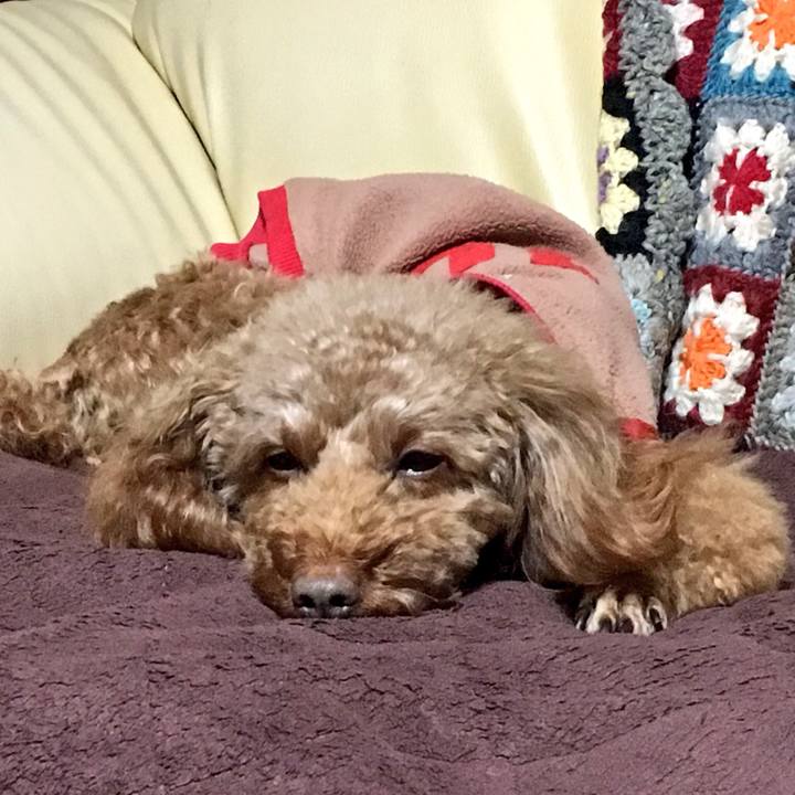 5e8e704e c435 4227 8c3a d720367ba952