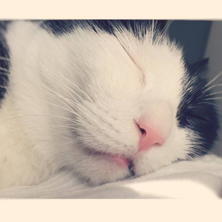 5e8e7142 5680 4532 980b fa53fac72256