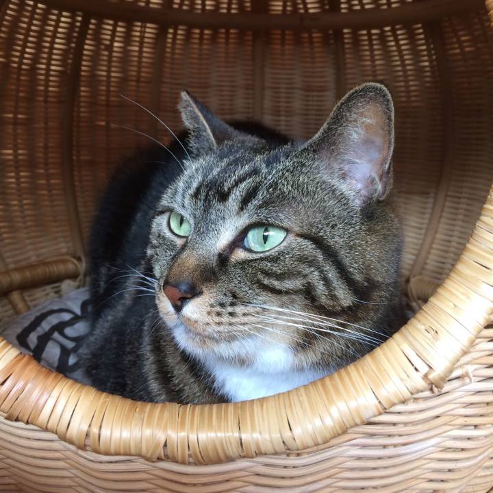 5e8e7e34 939f 401f 9227 3ace9970cfc3