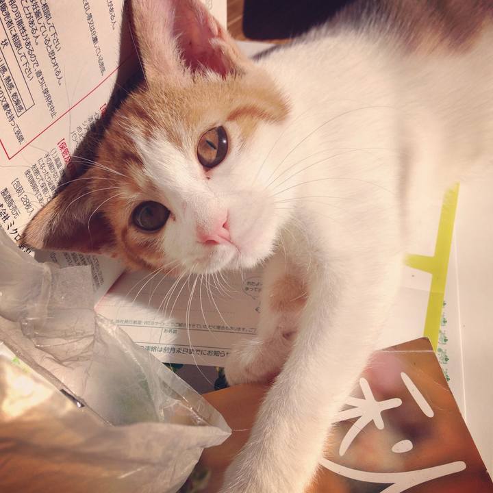 5e8ea2ca e736 4b5d 9bb5 888e65e9050b