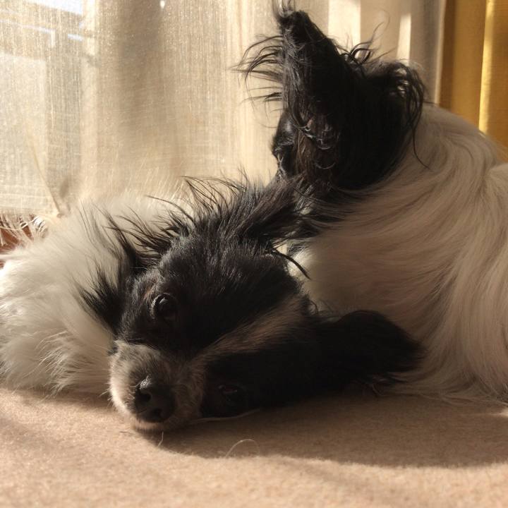 5e8ee1c9 22c3 4e74 bc78 f792912a0523