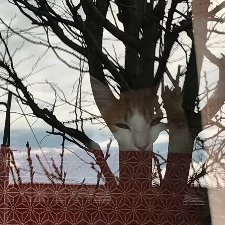 5e8efb4a 6abf 4474 8cb0 ec7476032184