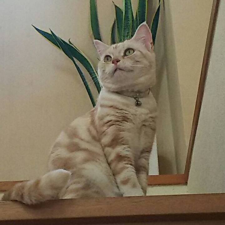 5e8f3bf5 30a3 4cf1 83b4 41238958602b