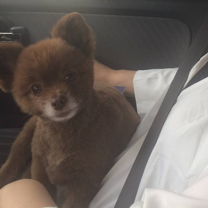 5e8f604c 6ba9 47a1 8127 c8ced7d68312