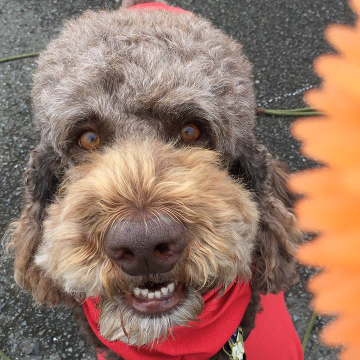 5e8fb6e2 19ad 4503 940b 3232488fd028