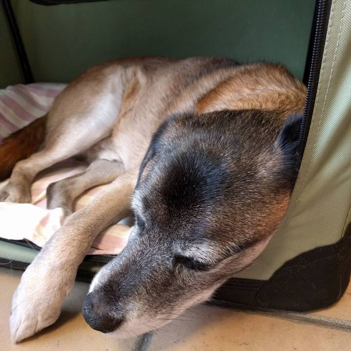 5e8febc4 130a 451d b076 e4359c0cf0a5