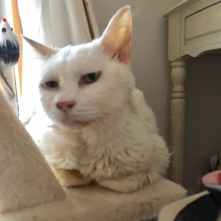 5e905bfd ccb1 4e0a 9eae d68ce8ad1331