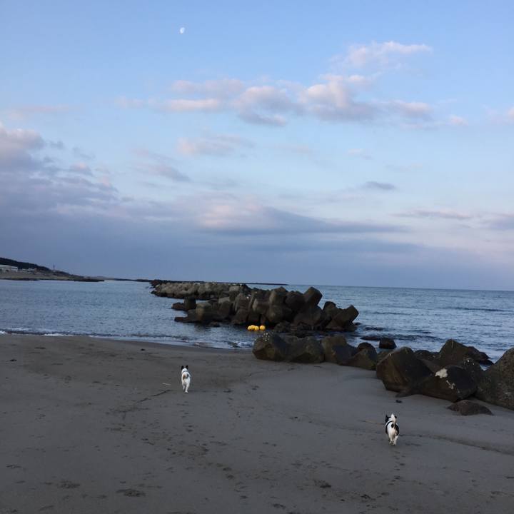 5e90eebb 186f 415d b67e 284d8386e753