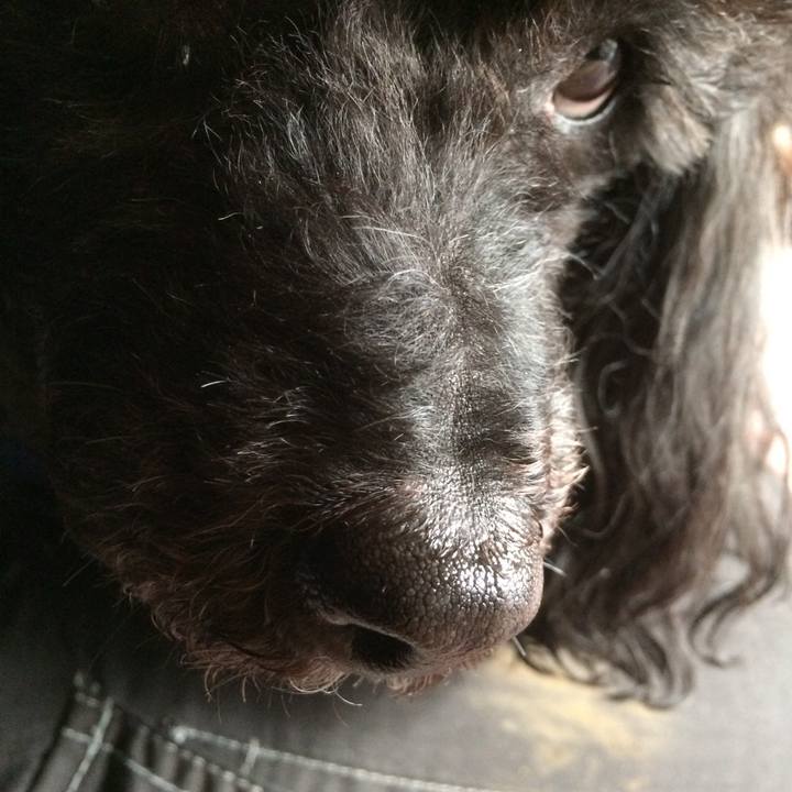 5e9126ba 5845 4180 9a79 248175aa2451