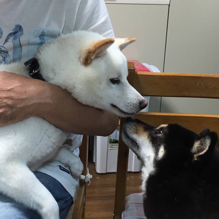 5e920e33 6b92 41ef b178 661f6b6741f2