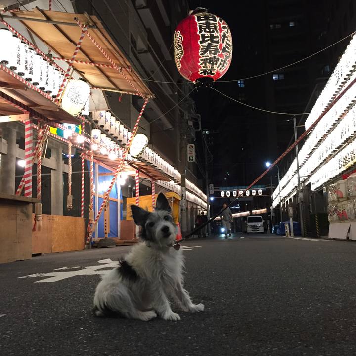 5e92218b 4361 469a 816b 1ea2e4aa3e1b