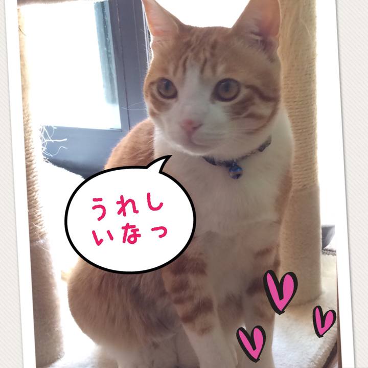 5e925bfc ea97 4806 a459 3dbd94307771