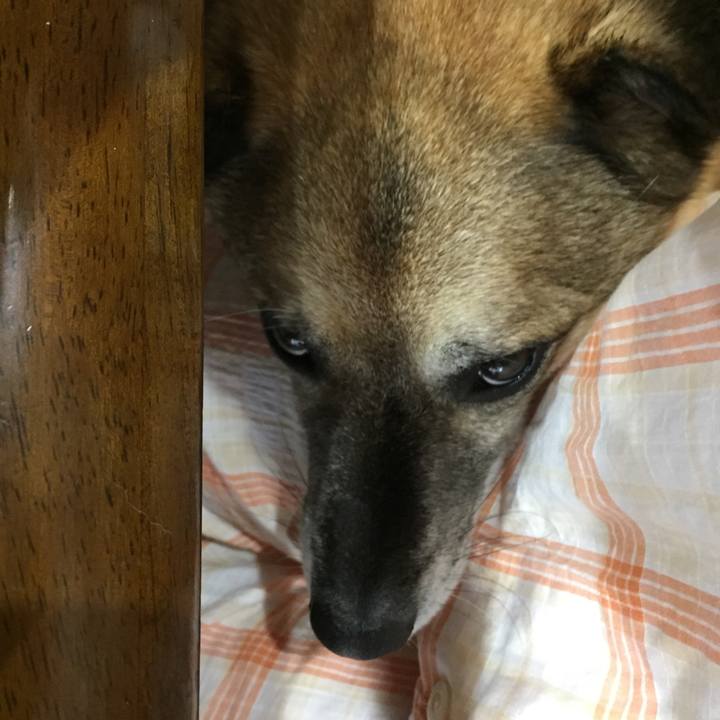 5e92ea78 abf3 4040 a099 106241fda921