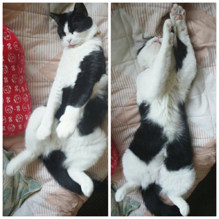 5e930b9d 79fe 4d49 b8d5 0256dd7310bf