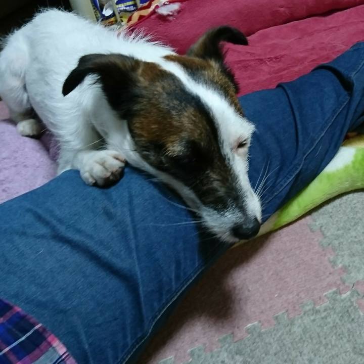 5e93d122 5db1 43cf 9a7c 7a0f6ca43bc4