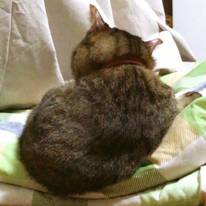 5e9407d2 a94a 444e a4b1 c333a44cc7f9