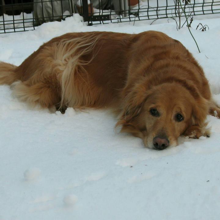 5e942b00 9679 4561 b63f d7f53cc001b1