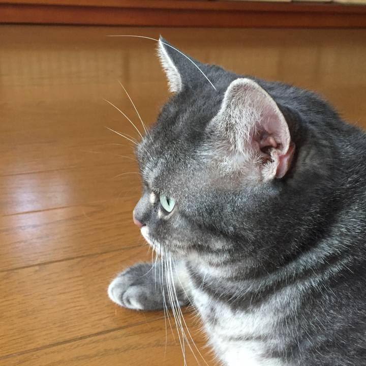 5e942bee f526 411c b77b 39f38ae87a69