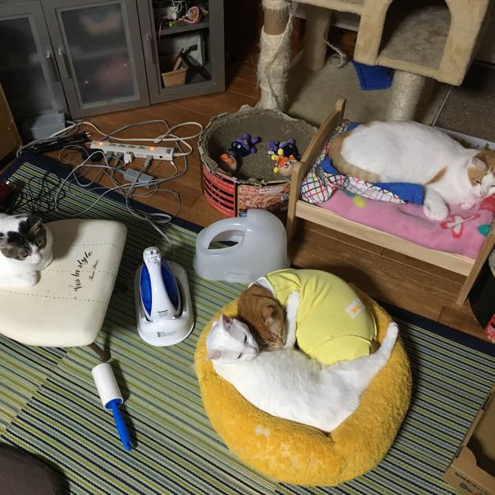 5e9508e4 33b3 4053 8cd0 4700042d3881