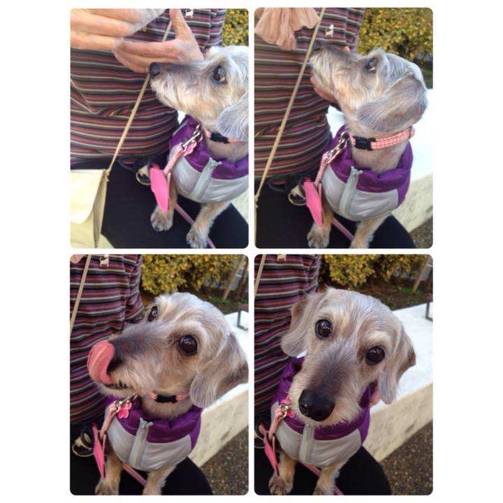 5e9514b5 03c6 4e6f 8531 3c99f696cb1e