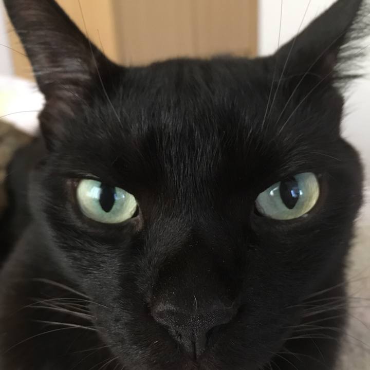 5e957d7c 6ae4 4b32 bef3 28d5bcfe5f6f