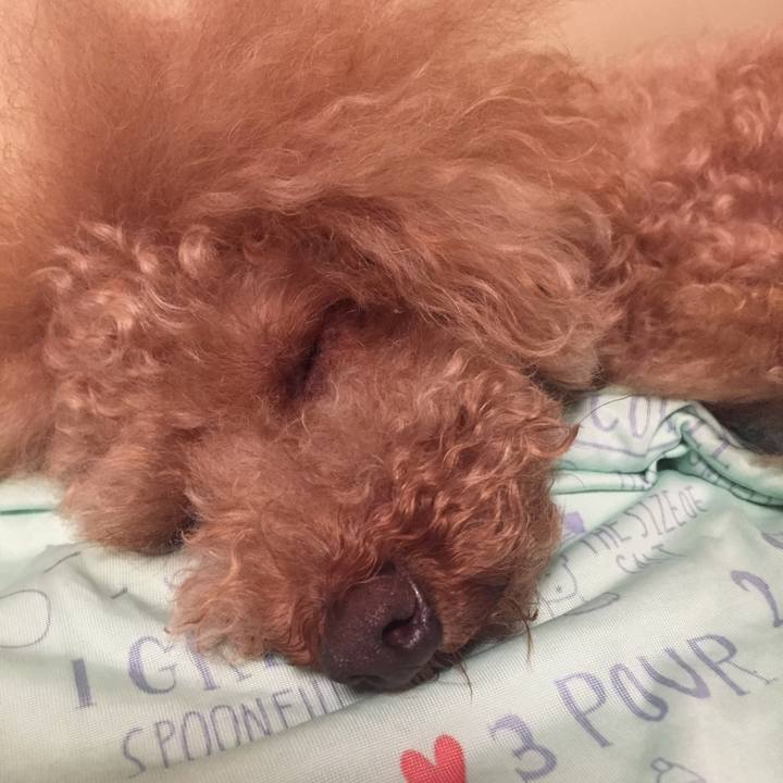 5e958796 b18f 4f0e a478 9b22c0b88d43