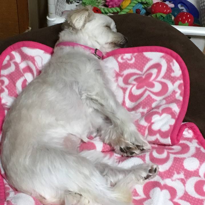 5e97ec2c c47c 4b58 9003 d54d5a0106bb