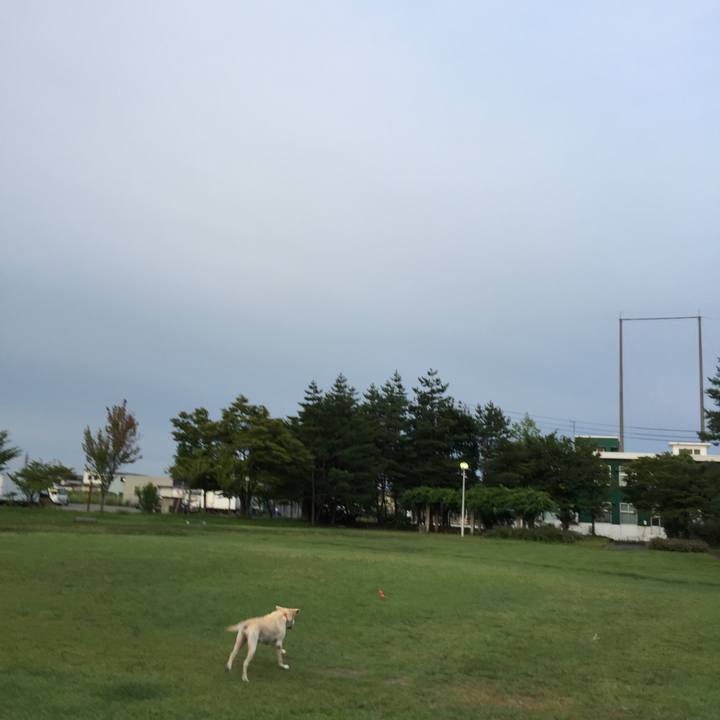 5e985723 5d1d 4215 93c8 2e6142979aec