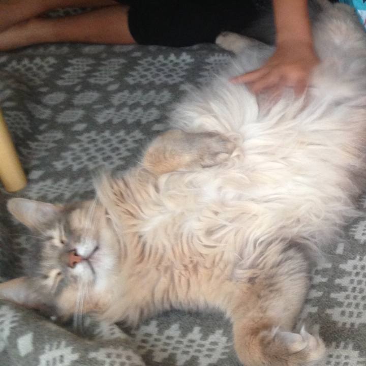 5e98ed69 b4fa 44f9 9525 85b9ec02470d