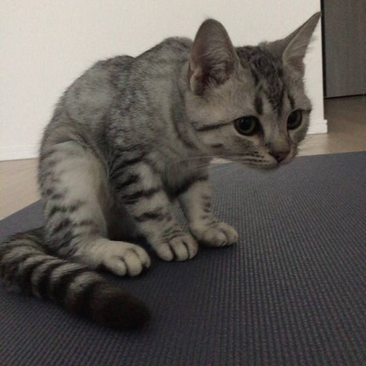 5e994f11 8e0f 474c 9830 5778e8460572