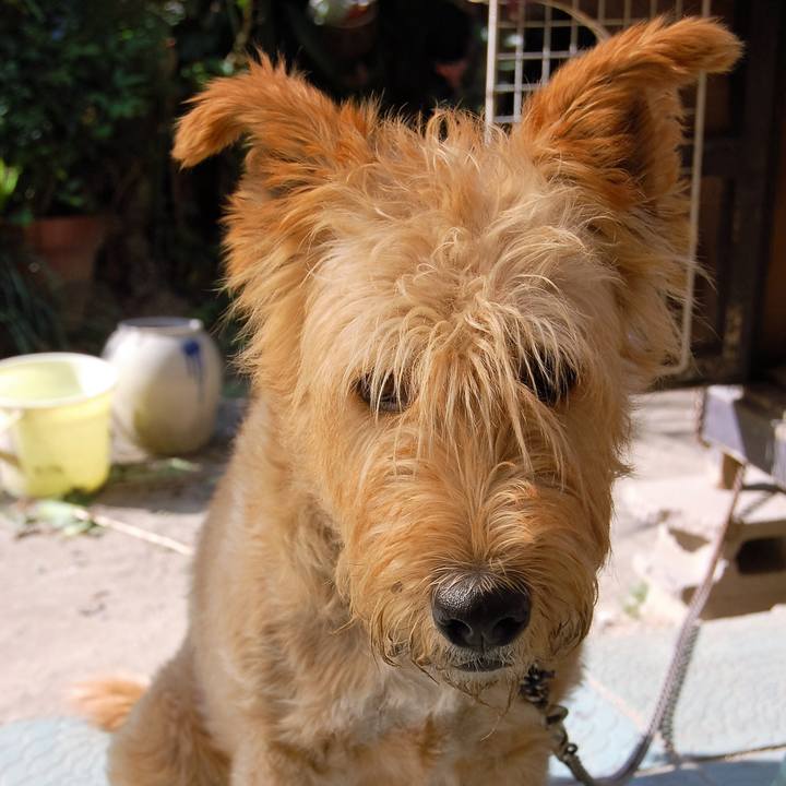 5e995f58 cc92 4966 b734 6235835522a0