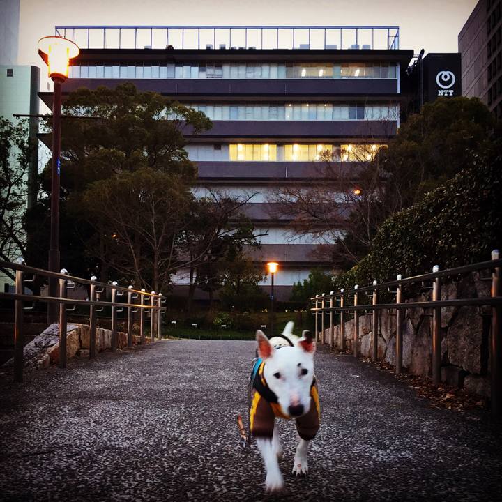 5e99c891 15c4 4525 a907 64467011fe5b