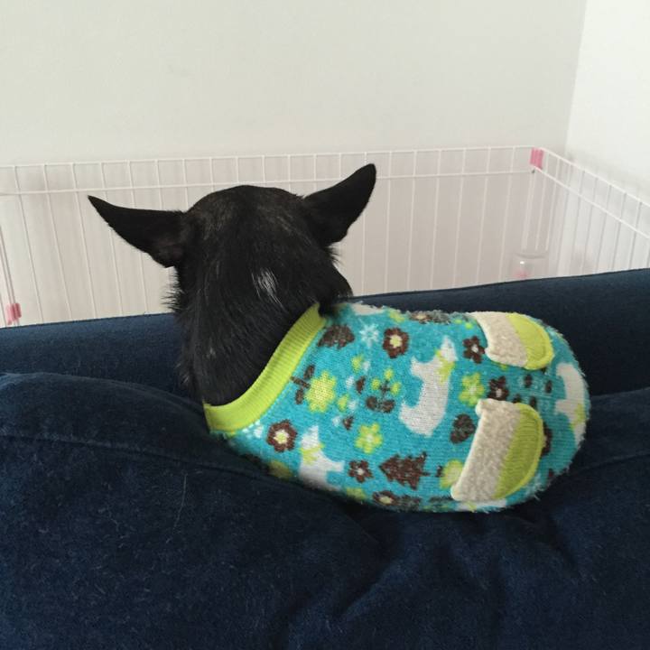 5e99e7e6 ad61 42c9 8b01 2fe61aca60ab