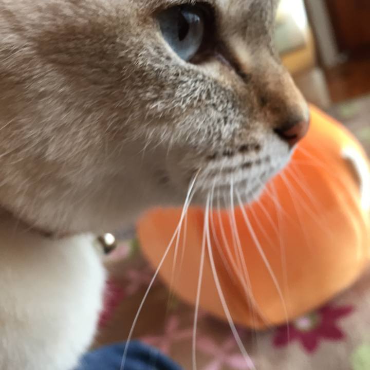 5e9af2b2 efea 4937 af83 736e9359c5f4