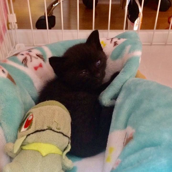 5e9b0381 1c89 4414 90ec 11895cb186a3