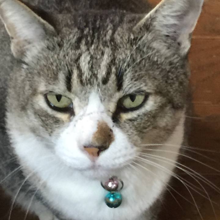 5e9b46f3 94bd 492b b6ea 0f42de5a7e7a