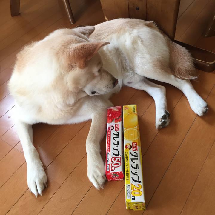 5e9c02bc f133 42ed 980b 18b46f22bcec